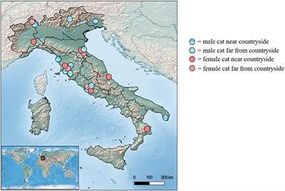 License to Kill? <mark class="highlighted">Domestic Cats</mark> Affect a Wide Range of Native Fauna in a Highly Biodiverse Mediterranean Country